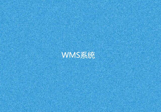 WMS系统