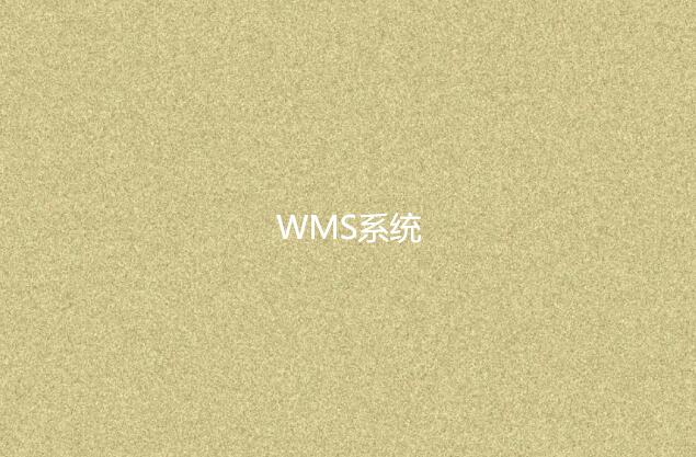 wms系统